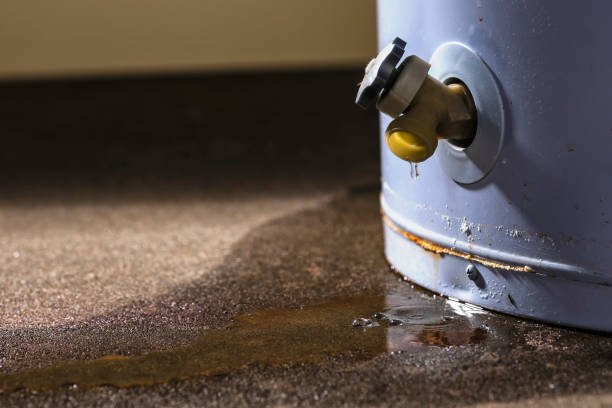 Professional Water damage restoration in NJ