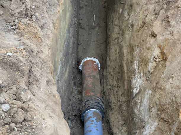 Best Basement water damage restoration  in The College Of New Jersey, NJ