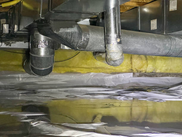 Best Local water damage restoration  in The College Of New Jersey, NJ